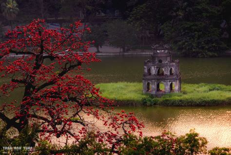 The Lotus Pond! A Vivid Exploration of Color and Tranquility in 17th-Century Vietnamese Art